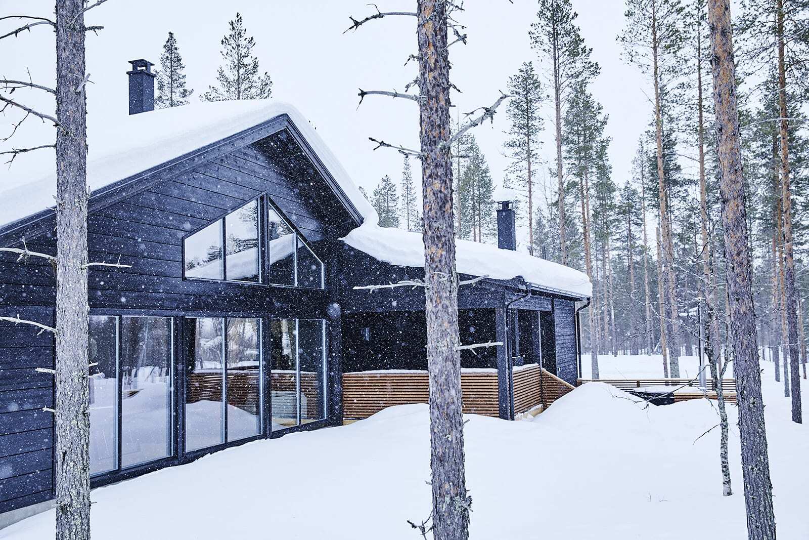 Modern Log Home