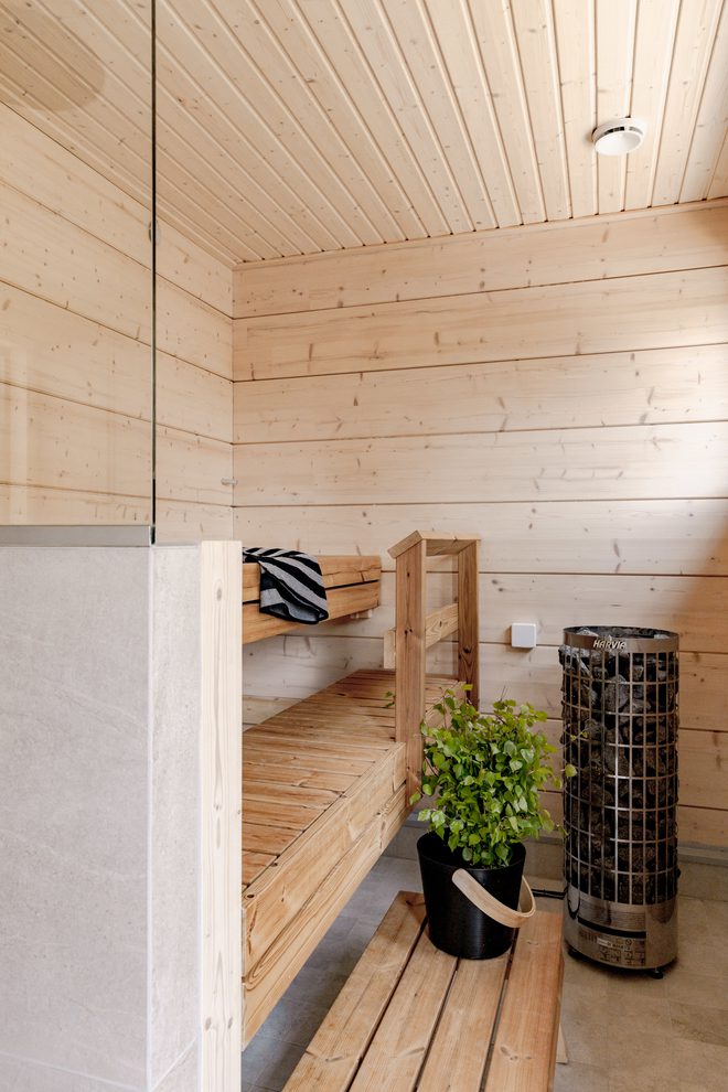 Modern Log Home