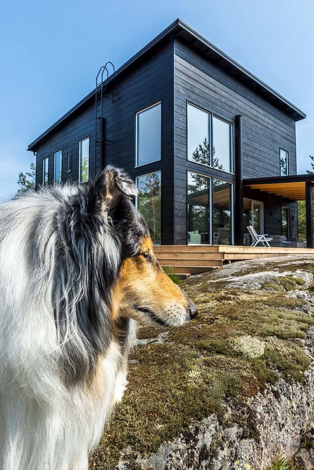 Modern Log Home